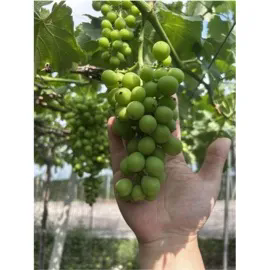 微信圖片_20250523202546
