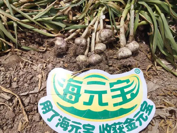 微信圖片_20250605174244
